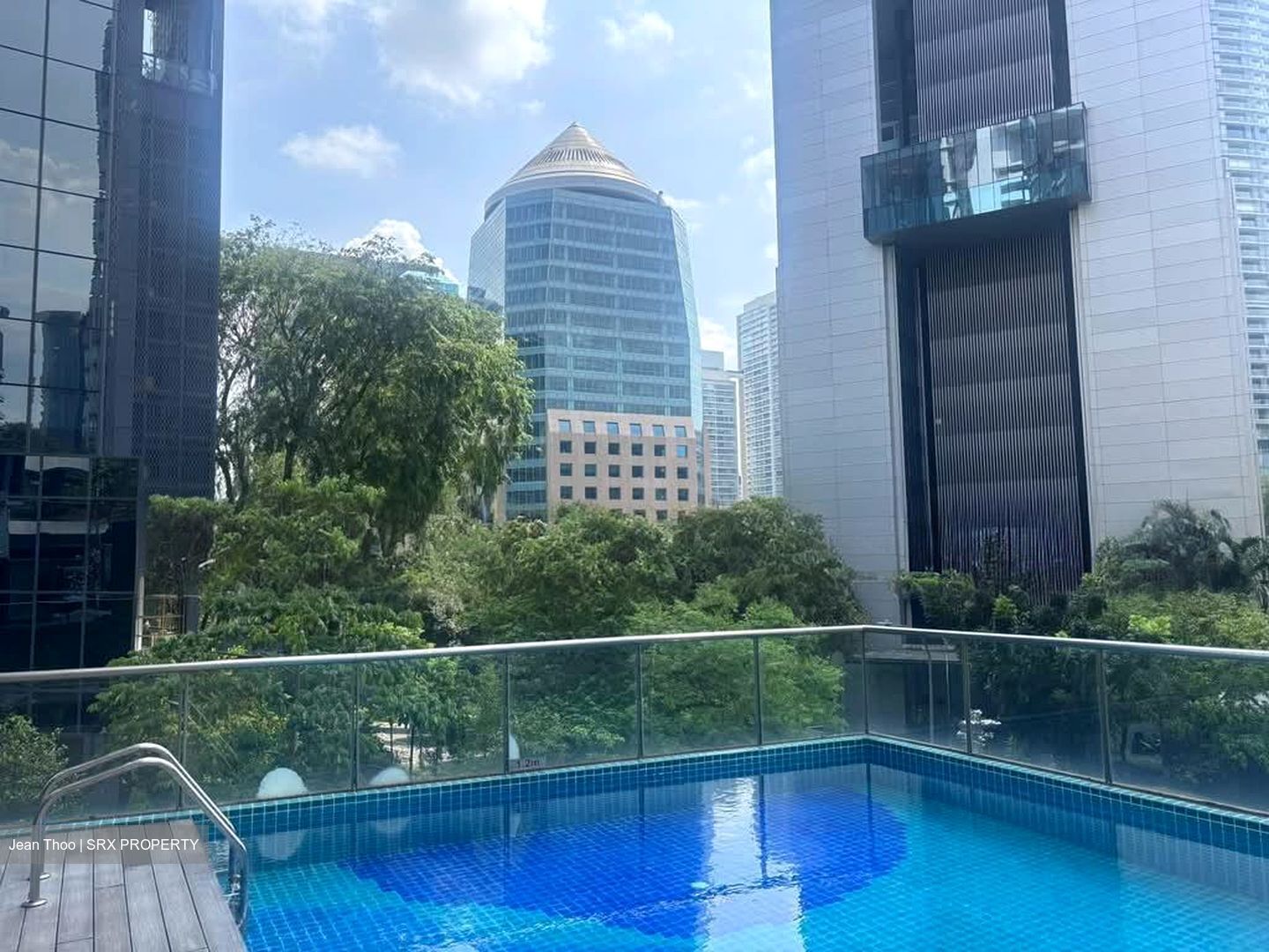 Angullia Park Residences @ Orchard (D10), Apartment #546043811